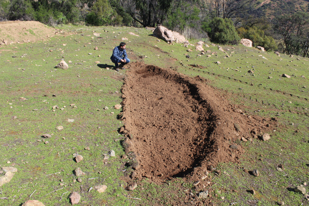 An analysis of the joint adoption of water conservation and soil conservation in Central Chile