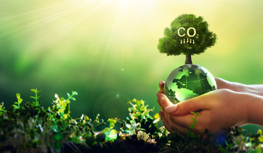 Energy Transition and Climate Resilience: Catalysts for Growth and Inclusion