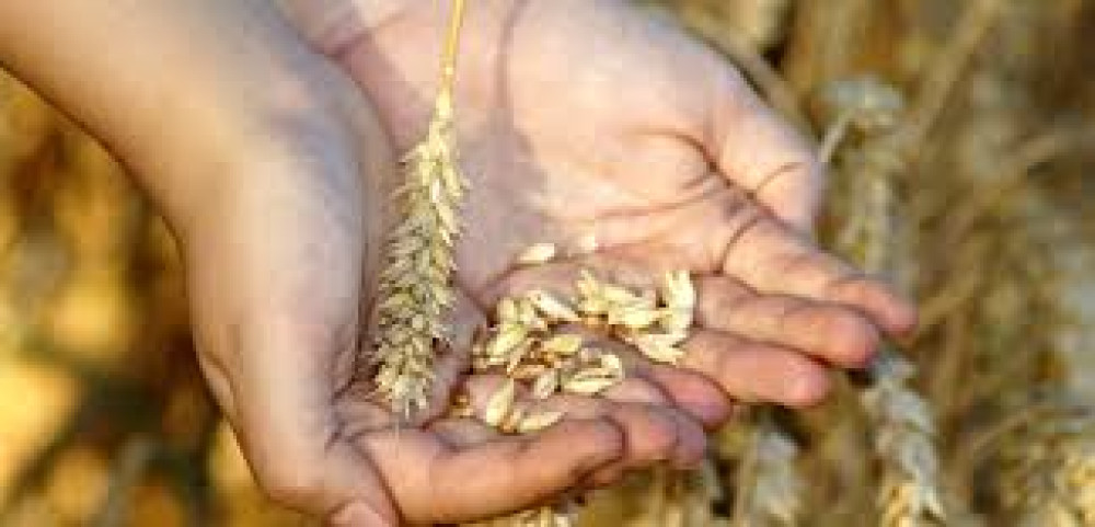 The impact of COVID-19 and the war in Ukraine on food security: towards a food crisis?