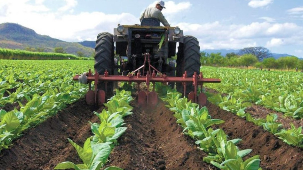 América Latina, una potencia agrícola que ve aumentar el hambre, necesita cambiar cómo produce los alimentos