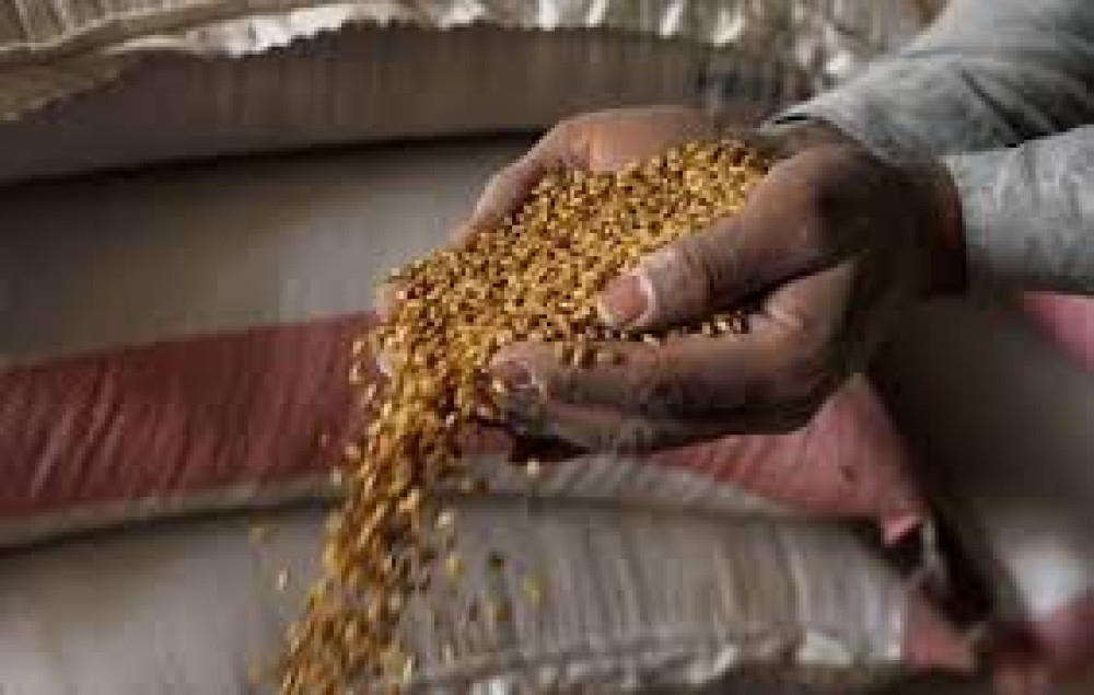América, una solución con fisuras para la crisis alimentaria de la guerra