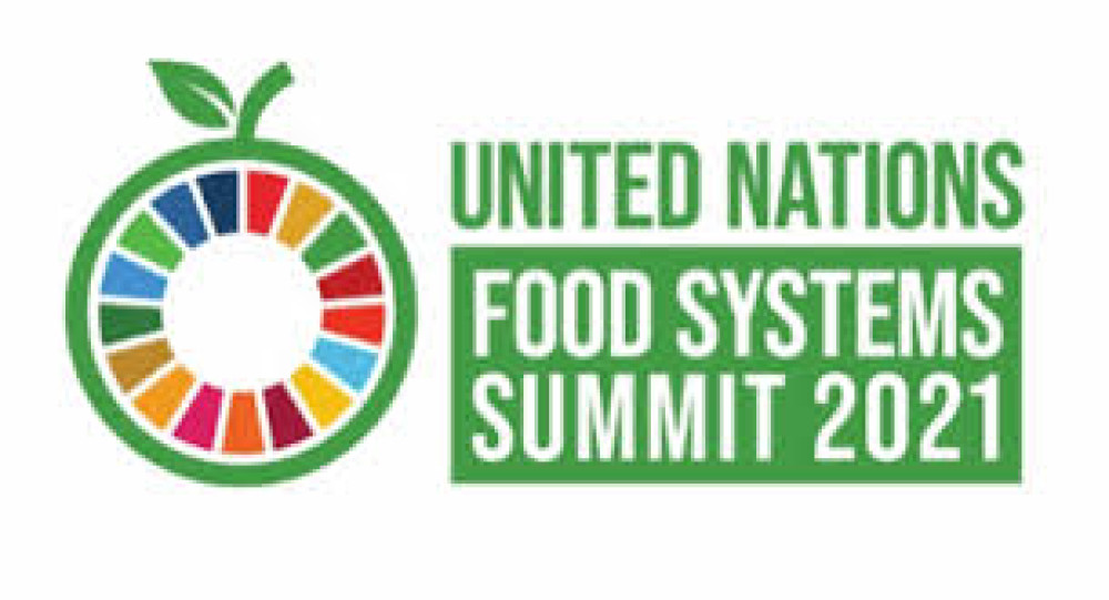 The first UN Food Systems Summit seeks a new recipe for the health of people and the planet