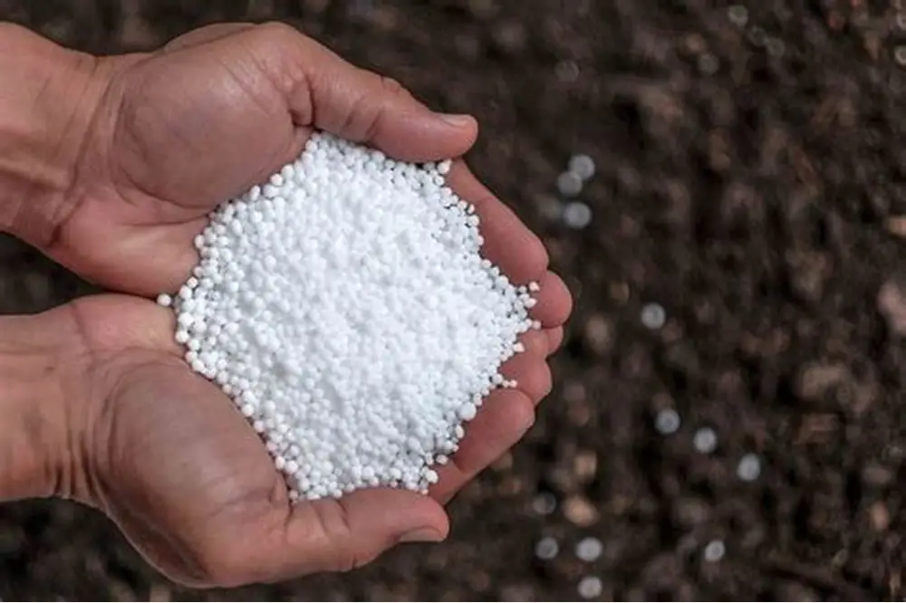Urea surpassed US$ 900 per ton and the input-output ratio deteriorated: with wheat, 70% less can be purchased than a year ago