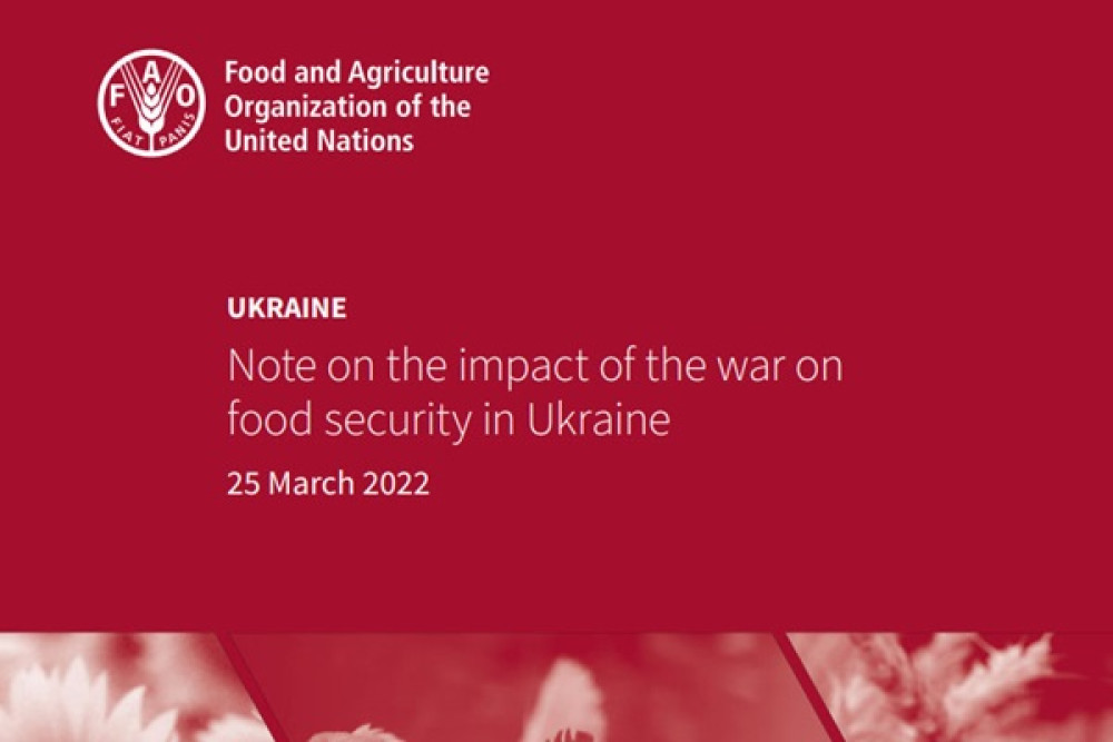 Ucrania: Nota sobre el impacto de la guerra en la seguridad alimentaria en Ucrania.