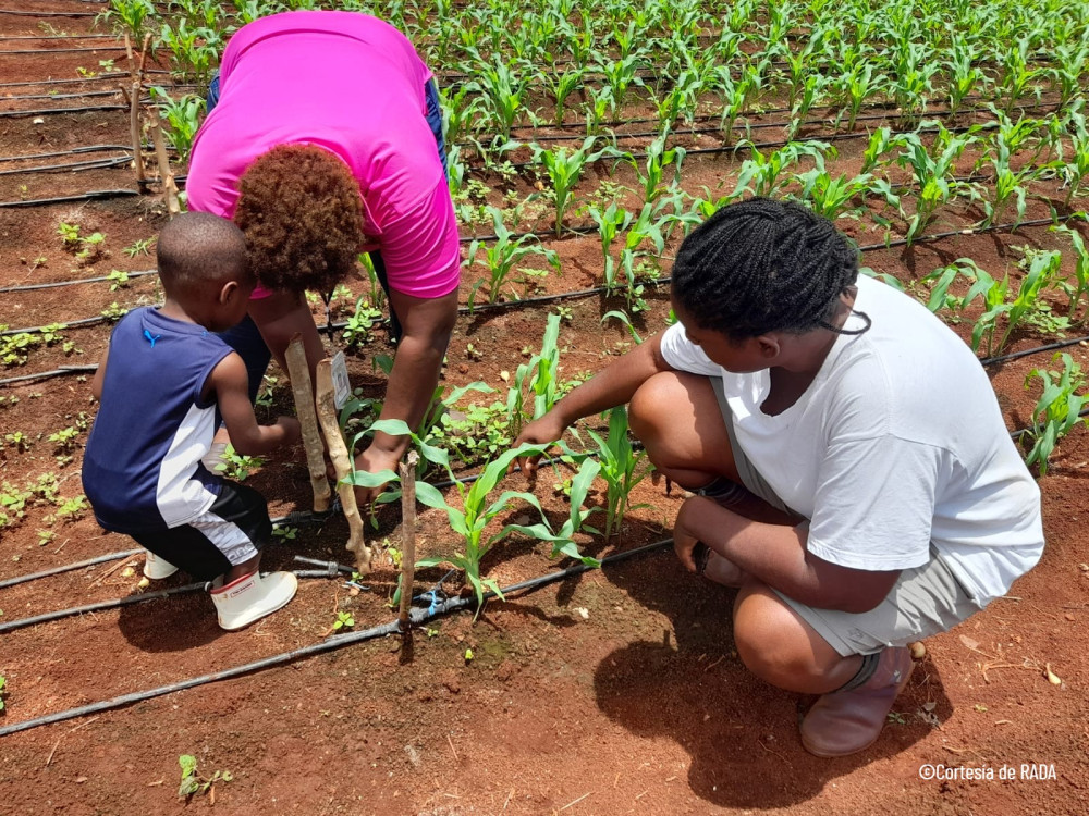 Agricultura Familiar y Derecho a la Alimentación (Reflexiones desde España, América Latina y el Caribe)