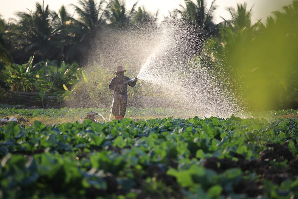 Towards sustainable, climate-resilient and low-carbon agriculture