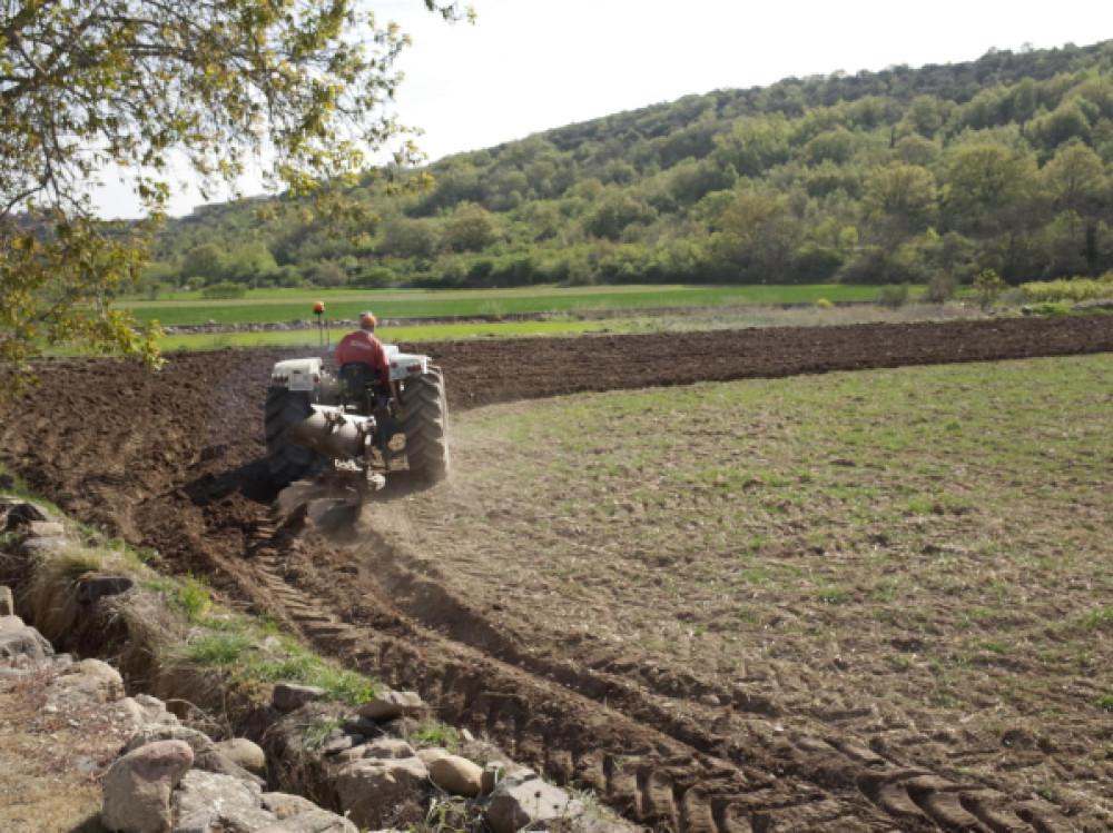 Roland Berger alerta de una crisis de fertilizantes en Europa aún más dura que la de 2021-2022