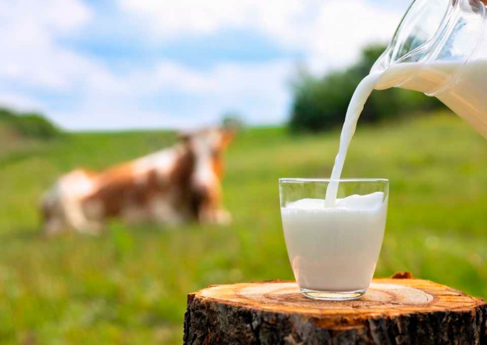 Article Dairy Industry and Regulations