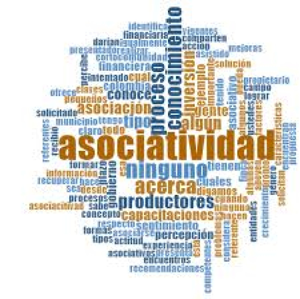 Study of experiences of rural associativity in Peru: Case Study