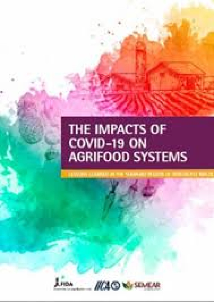 Impacts of COVID-19 on Agrifood Systems in the semiarid region of Northeast Brazil
