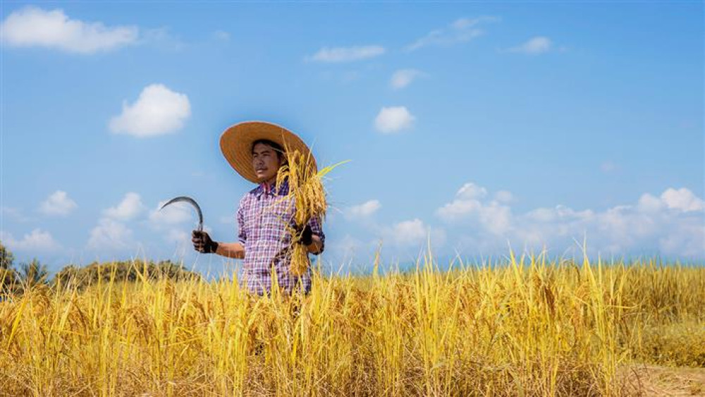 WTO - Follow-up to agricultural negotiations