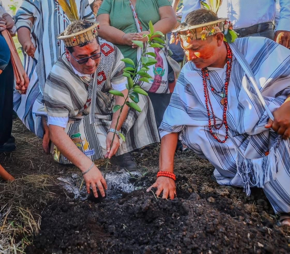 MIDAGRI pone en marcha proyecto de cítricos y paltos en la selva central