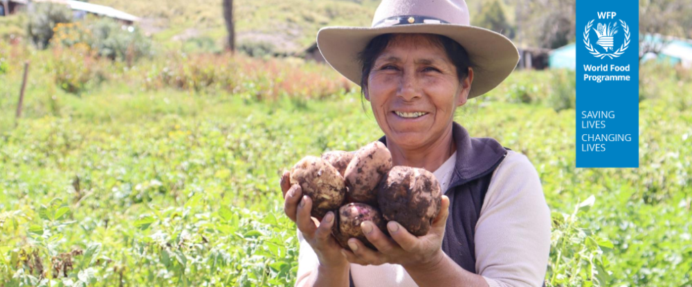 Boletín País Perú del Programa Mundial de Alimentos - Mayo 2026