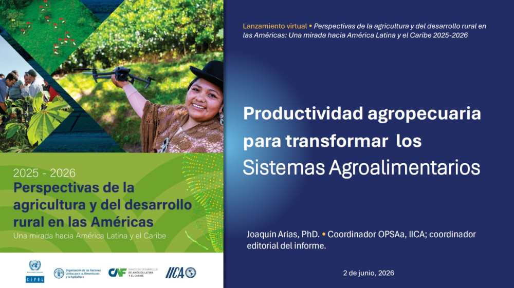 Productividad agropecuaria para transformar los sistemas agroalimentarios: presentación de lanzamiento de las Perspectivas ALC 2025-2026