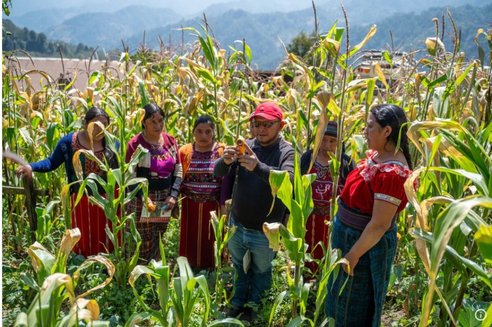 América Latina y el Caribe enfrenta mayor riesgo de inseguridad alimentaria por El Niño