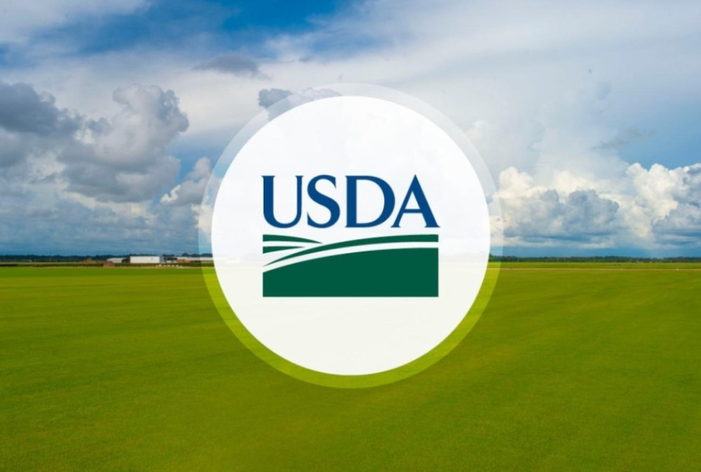 USDA confirma gusano barrenador en Texas
