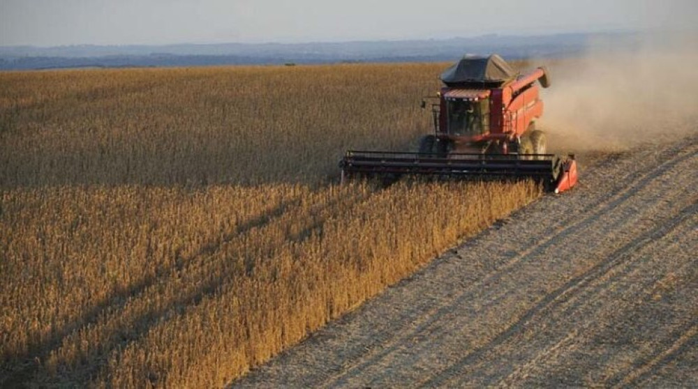 Actualización regional sobre protección de cultivos, fertilizantes y nutrición vegetal en Brasil y América Latina