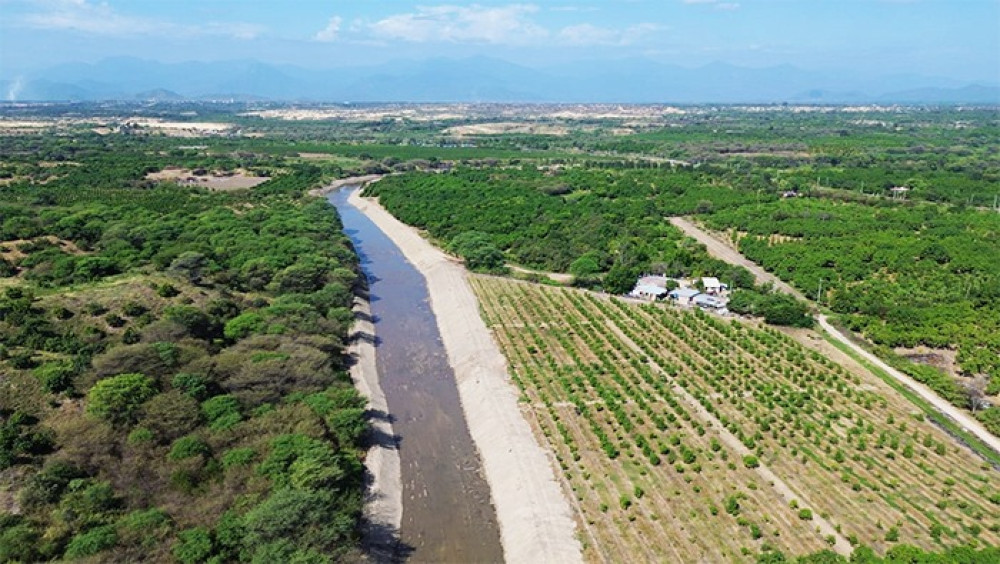Perú: MIDAGRI protege más de 6,600 hectáreas agrícolas ante lluvias e inundaciones en Piura y Tumbes