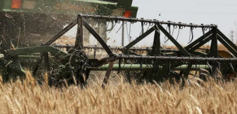 El Niño podría reducir las existencias mundiales de granos y afectar el suministro de alimentos