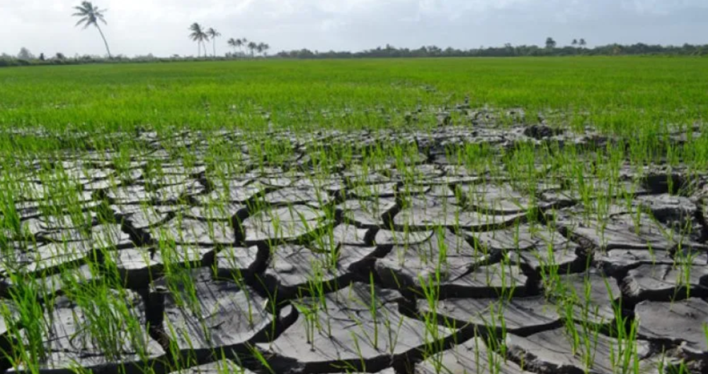 Guyana advierte sobre meses más cálidos y secos y llama a fortalecer la preparación frente a la sequía