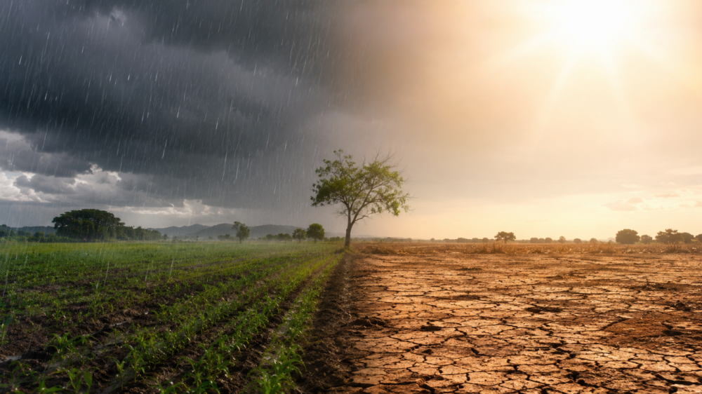 Fitch alerta sobre riesgos económicos asociados al fenómeno El Niño 2026