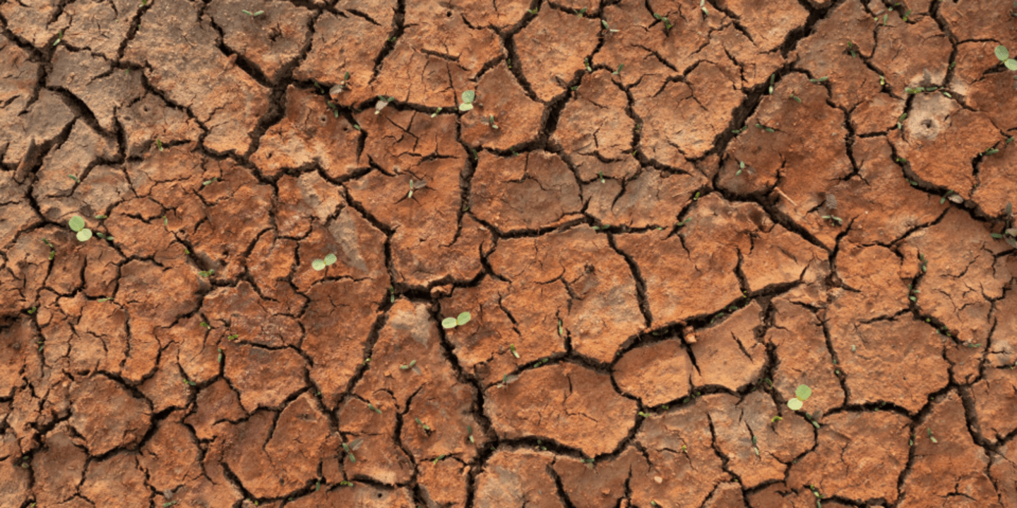 El Niño 2026-2027: cómo prepararse mejor en América Latina y el Caribe
