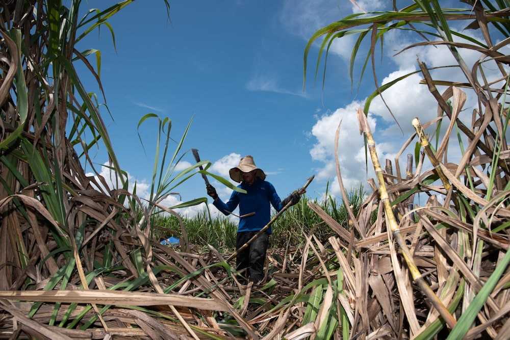 ¿El Niño obligará a América Latina a mantener tasas altas?