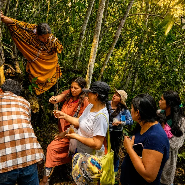Mujeres peruanas ponen en valor el rol de las abejas en la conservación de la biodiversidad de la Amazonía