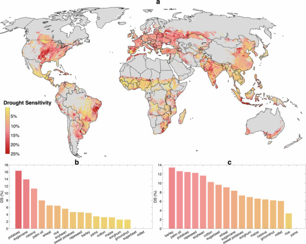 Addressing global hotspots of drought-related crop production losses