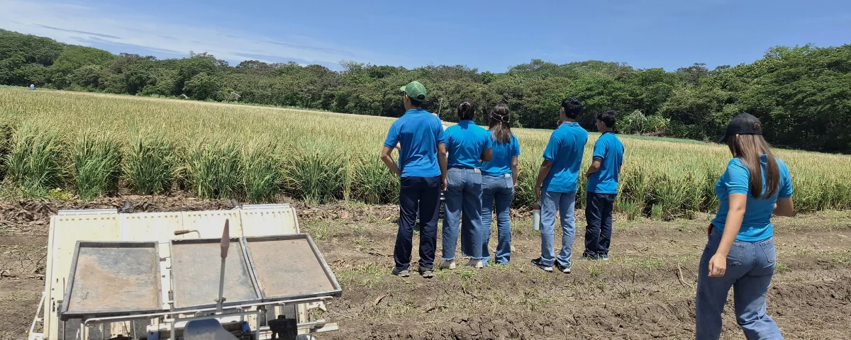 Rural youth choose to stay, produce and innovate in the countryside