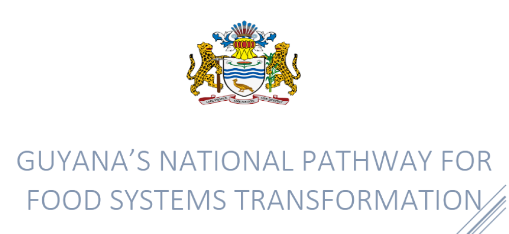 Ruta Nacional de Guyana para la Transformación de los Sistemas Alimentarios