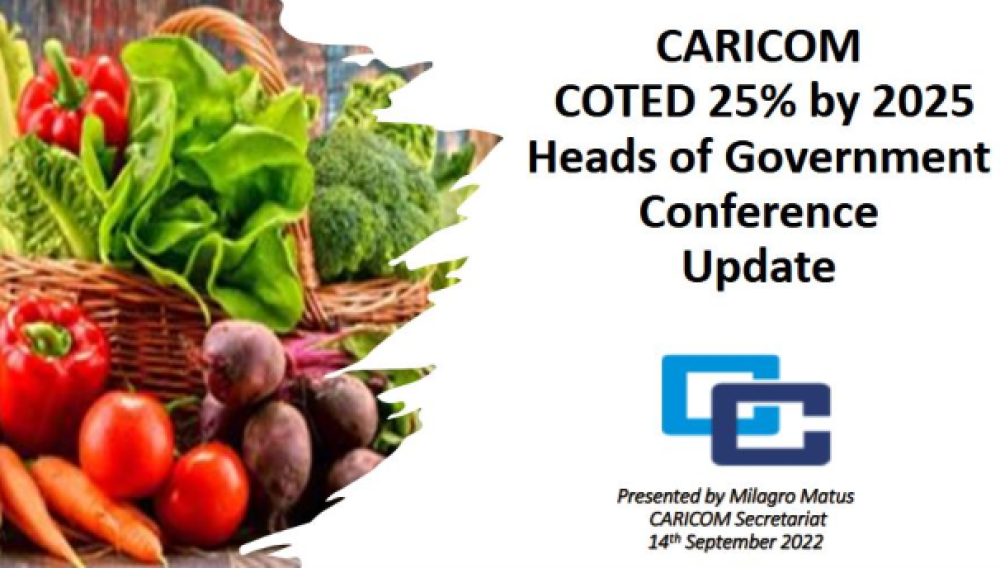 CARICOM 25 by 2025+5 Implementation Plan 2026–2030