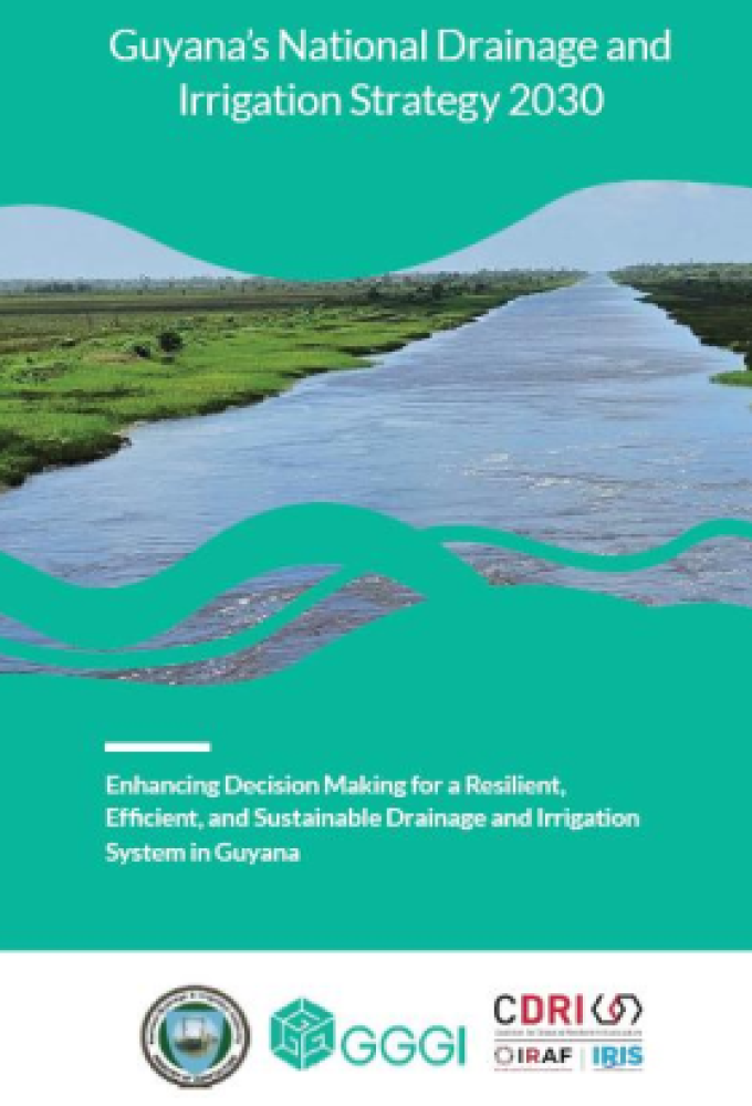 Guyana's National Drainage and Irrigation Strategy 2030 – NDIS 2030