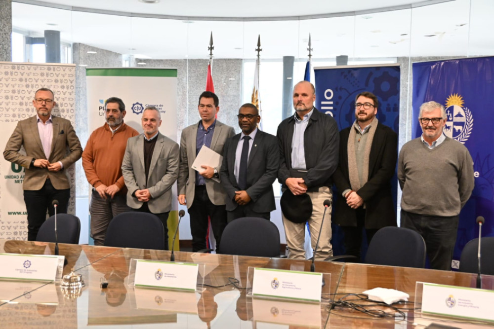 Uruguay will establish a consolidation and counting facility to strengthen container recovery