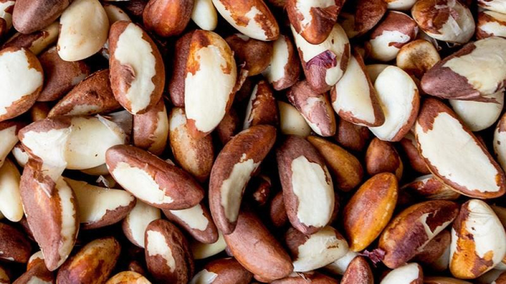 La castaña amazónica, el fruto que demuestra que el bosque en pie también exporta