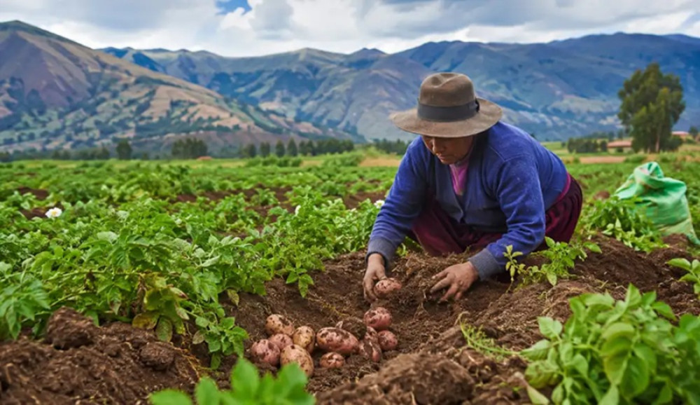Agricultura familiar que abastece el 70 % de los alimentos del país está en riesgo ante un Niño muy fuerte