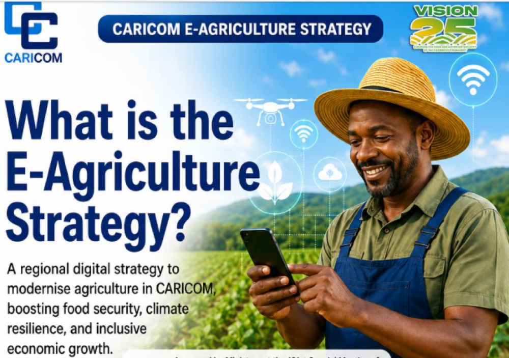 CARICOM Regional E-Agriculture Strategy