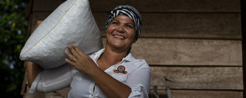 Cocoa from Limón reaches international markets