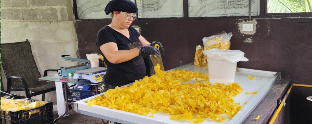 From unsold plantains to a business that creates jobs in Osa