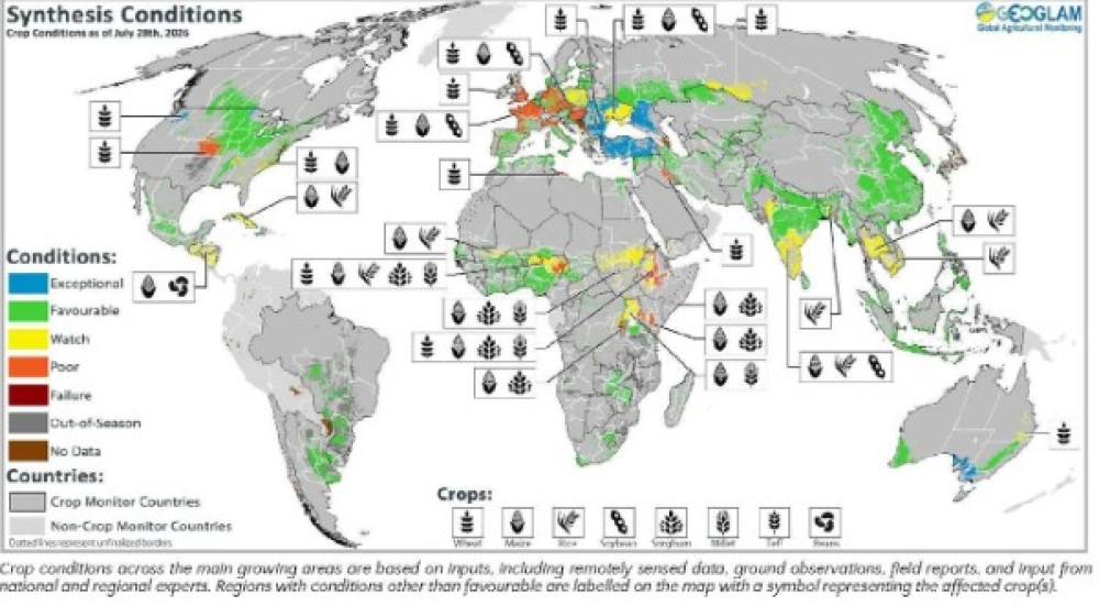 Global Crop Monitor No. 46 - August 2026