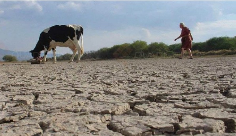 Impacto del fenómeno El Niño en Venezuela. Temporada 2023-2024