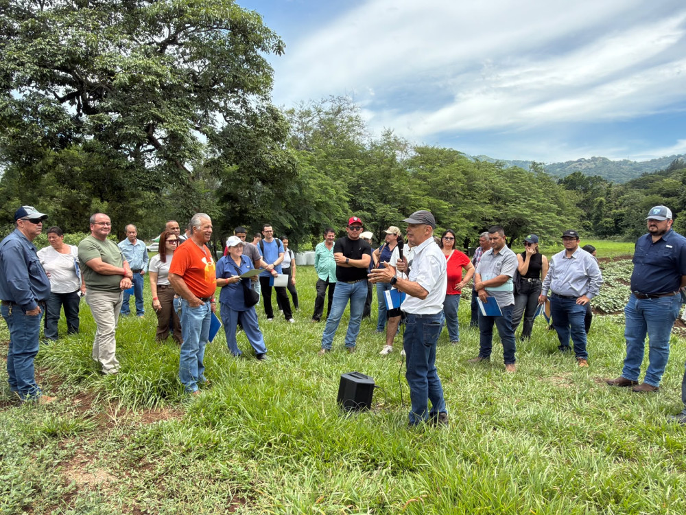 Agricultural producers prepare for El Niño 2026-2027 in an interinstitutional workshop