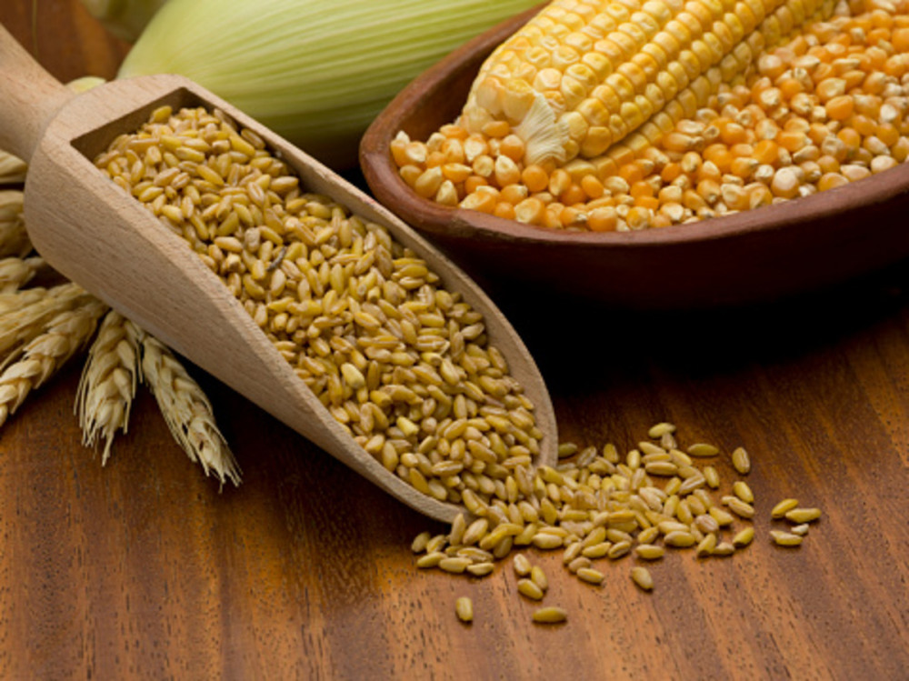 Why is Bolivia increasingly dependent on imported wheat and maize?