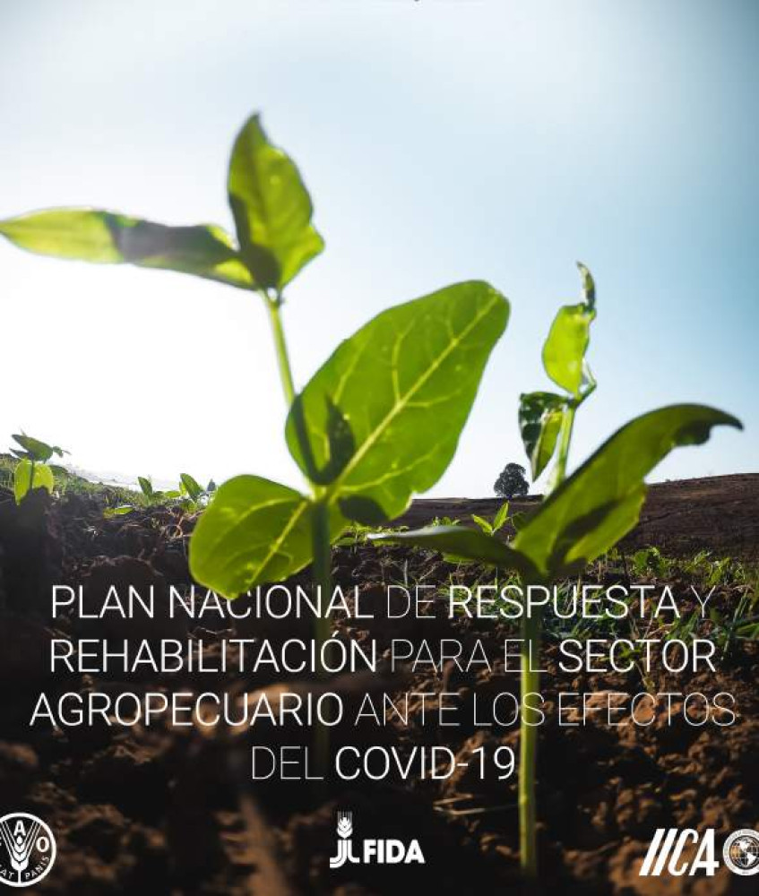 Assessment of COVID-19 Effects on Agricultural Production and Food Security