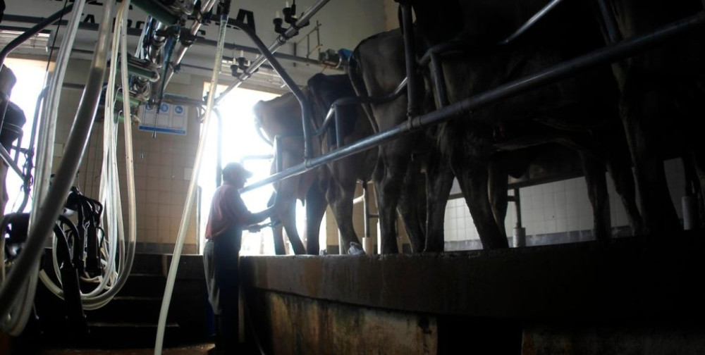 Argentina changes the export scheme for peanuts, beef, dairy products and tobacco, affecting regional economies from 2027