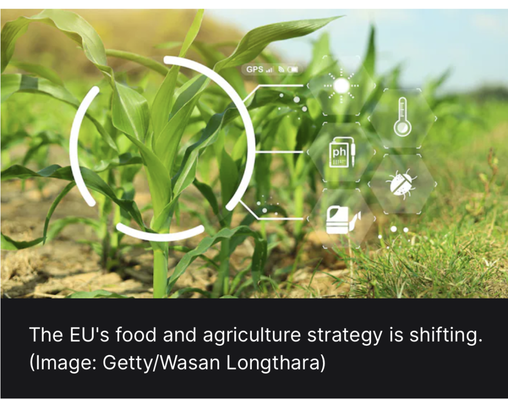 Cinco formas en que la Unión Europea está transformando los alimentos y la agricultura