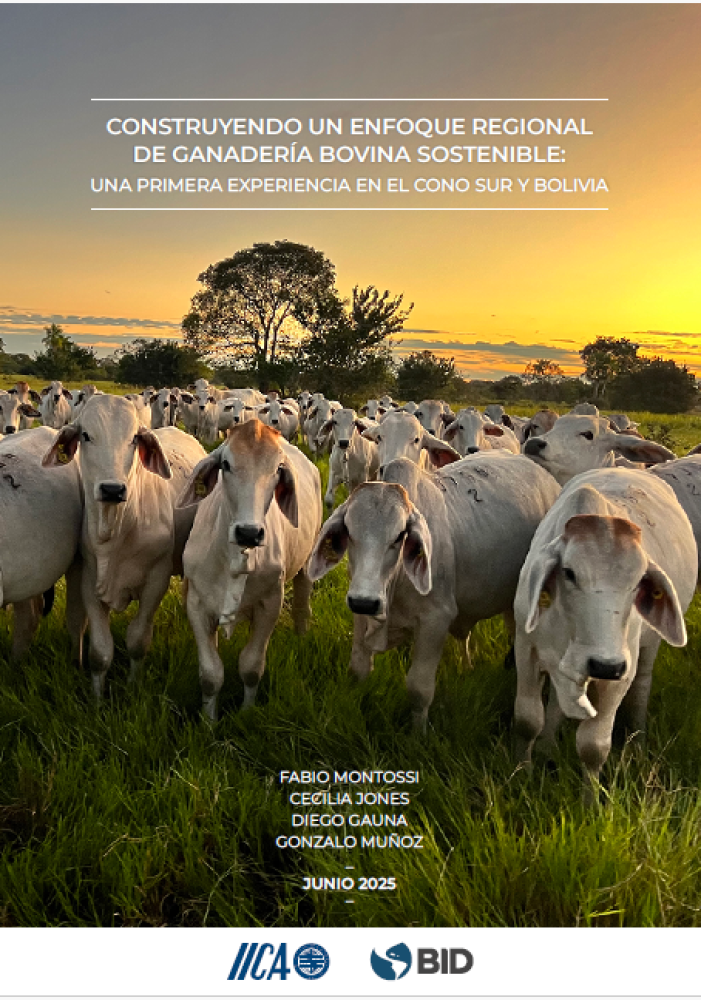 Building a Regional Approach to Sustainable Cattle Farming: A First Experience in the Southern Cone and Bolivia