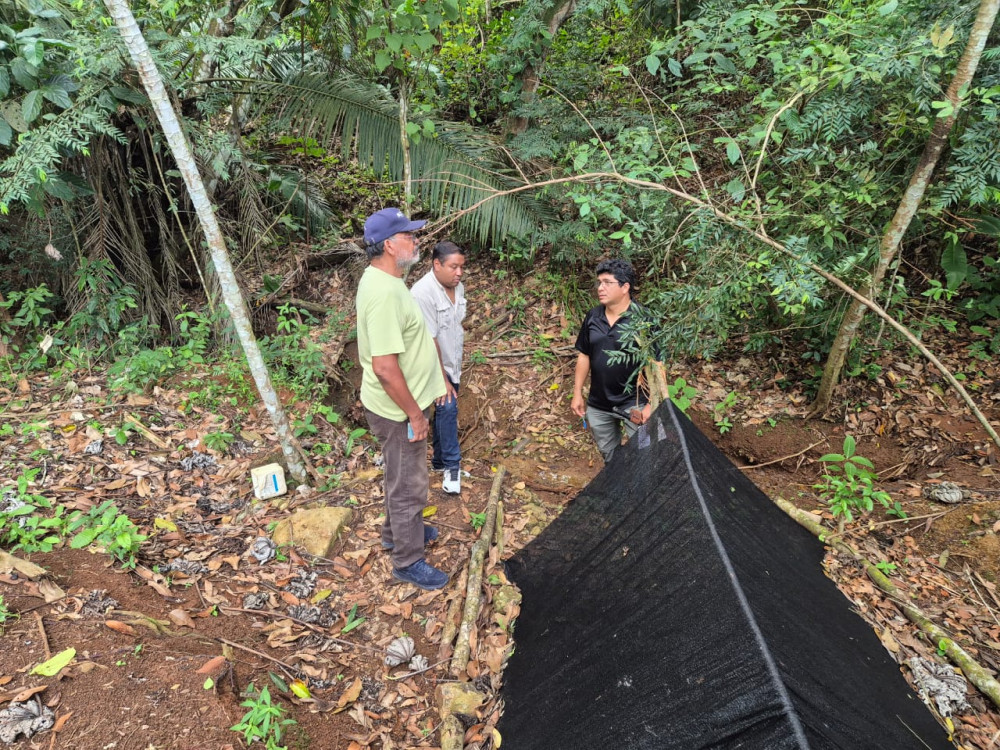 Evalúan suministro de agua para cultivo de maracuyá con asistencia técnica del MIDA