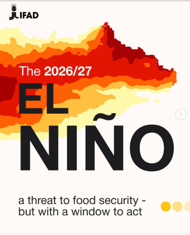 Preparación para El Niño: aprendizajes de las inversiones del FIDA