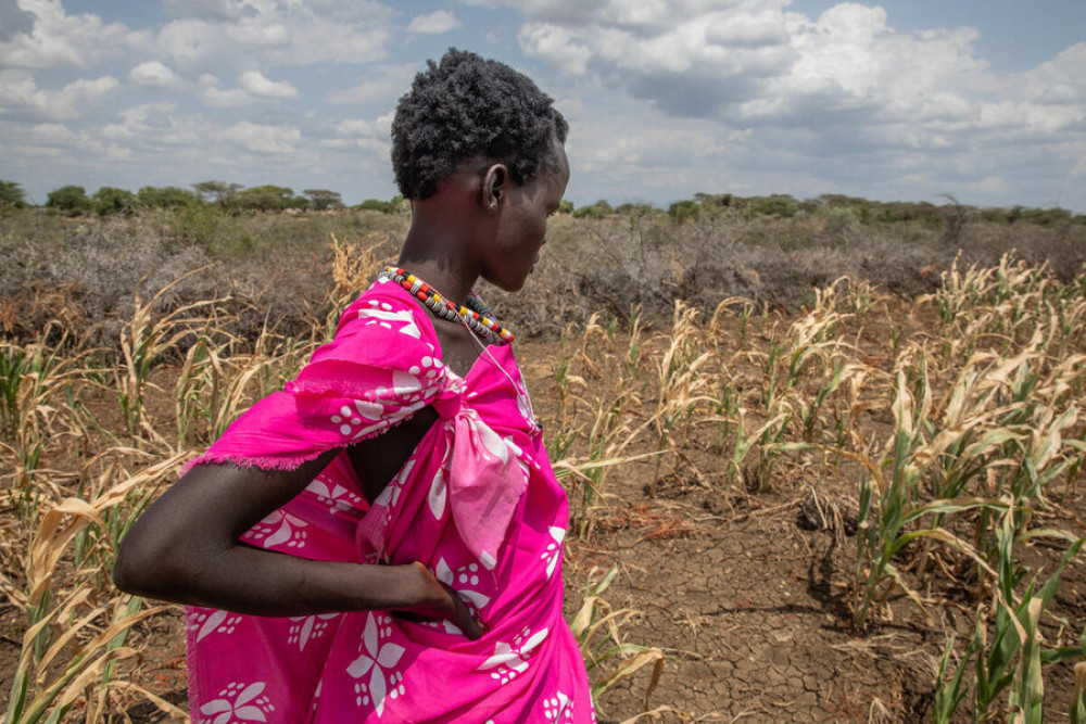 A medida que El Niño intensifica el hambre mundial, la acción anticipatoria da resultados